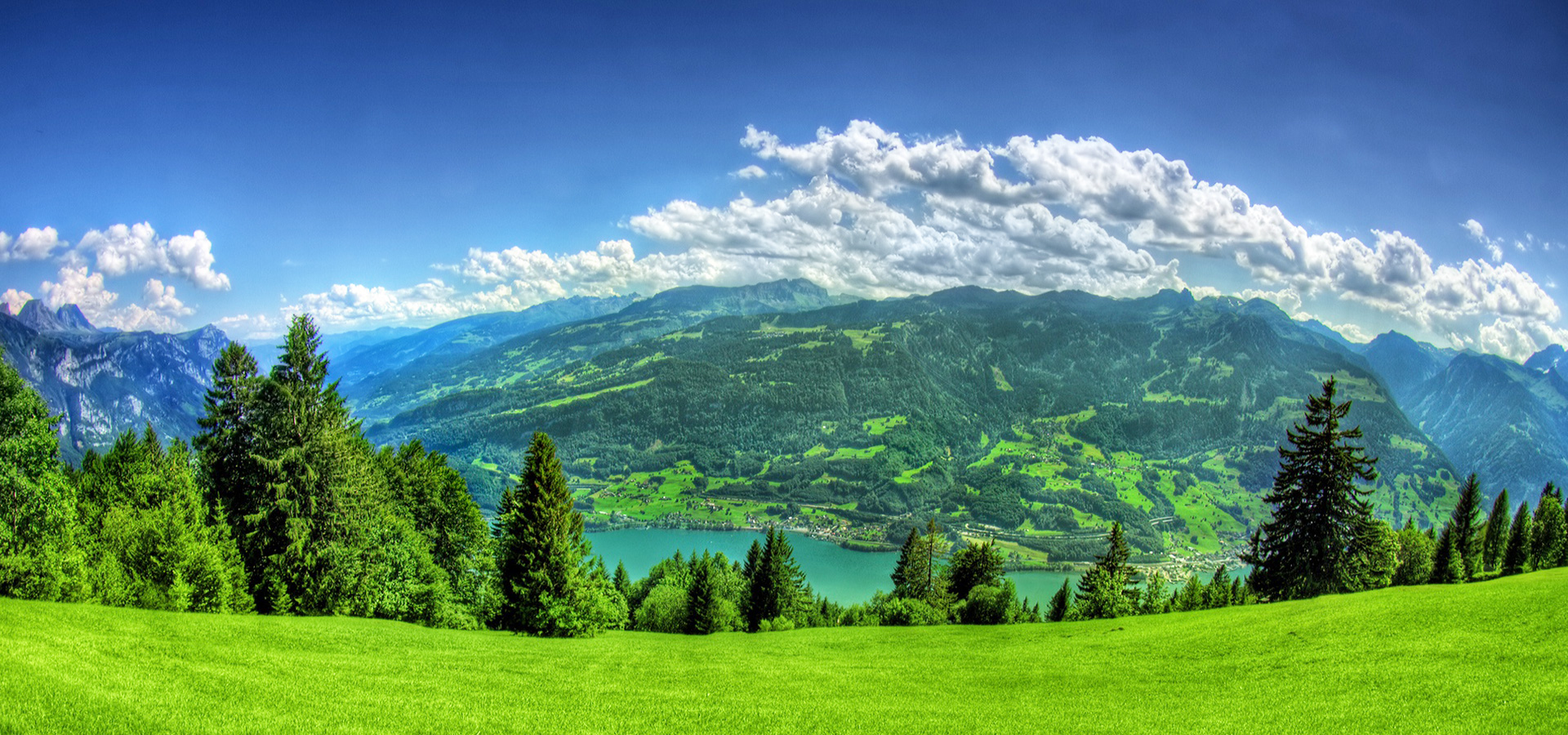 安徽9I果冻制作厂環境技術有限公司【官方網（wǎng）站】